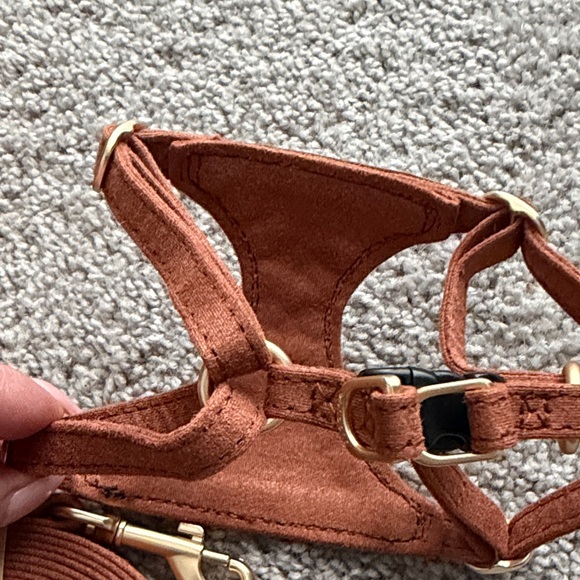Repurposed Gucci Brown and Tan Pet Harness Set - Picture 2 of 4